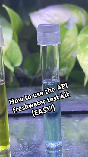 How to use the API freshwater master test kit! #fishkeepinghobby #fishtank #aquariumtutorial #api