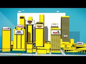 Introduction to Pidilite