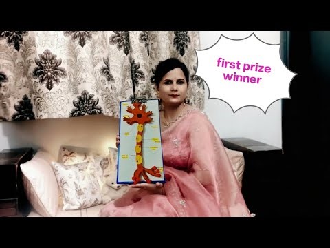 DIY Science Project: Making an Easy Neuron Model (Biology Class)