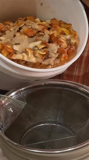 2.1K views · 17 reactions | How many times did I say pumpkins? . . We aren't the only ones eating the pumpkins around here, the animals and plants are too!! I used about 4 gallons of Pumpkin Ferments this season across our 4 acres of plants. Majority of it through my sprayer boom, but also my in row fertigation rig and through sprinklers. #smallfarm #Organics #familyfarm #agritourism #antiquetractor #pumpkins #Ferments | The Patch at Lost Hwy Farms | Facebook