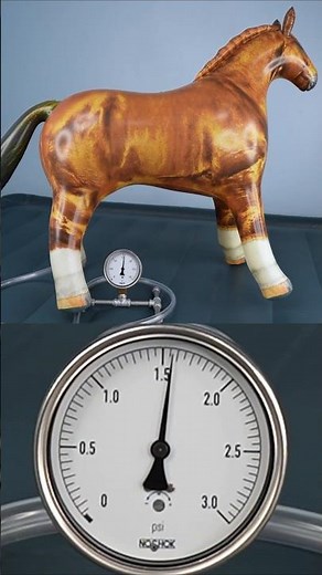 Overinflating the 38-Inch Horse form Jet Creations
