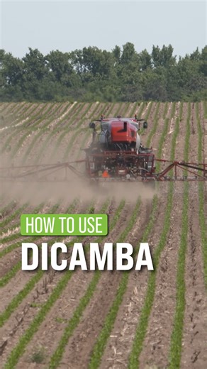 Here is how to use Dicamba. | Ag PhD