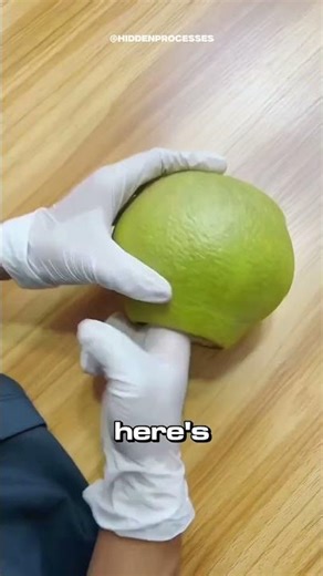 This Fruit Becomes a Luxury Item That Lasts for Generations 🔥