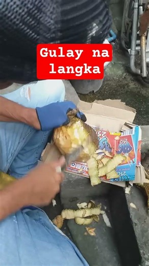 JACKFRUIT VEGETABLE FOR LUNCH #vegetable #yummy #nutritious #food #svo2.201