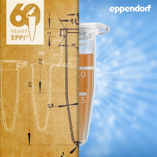 #HappyBirthdayEppendorfTubes This year we are celebrating the 60th birthday of the 1.5 mL #Eppendorf tube known as the Eppi®! 🎈🎂 Since their invention, Eppi®s have fueled amazing discoveries across the life sciences. 💭 Want to learn more about the innovations in Eppi® tubes over the past six decades? Read our article: http://eppendorf.global/mLS 📢 Make sure you look out for #beyondgenerations in future posts, as we take a closer look into how the Eppi® has – and continues – to innovate scien