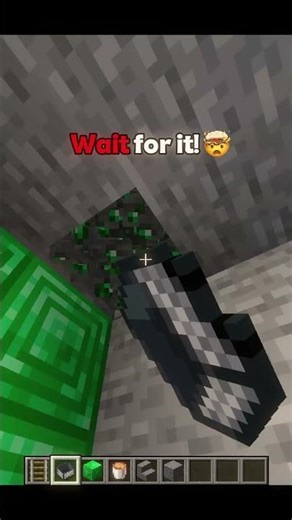 Minecraft Secret Door 😨(KINDA HOMELESS FUNK) #minecraft #shorts