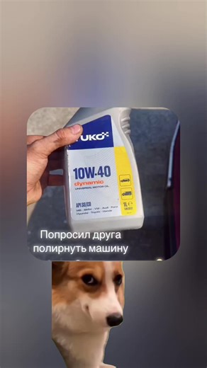 #автоприколы #приколы #авто | funny humor videos