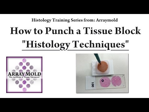 How To Punch A Paraffin Tissue Block for DNA Testing - Histology Techniques