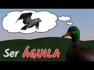 El PATO que decidió ser ÁGUILA