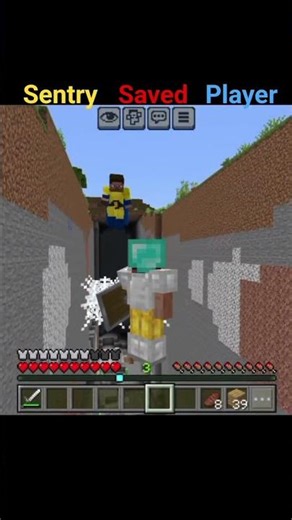 Minecraft Sentry Saved Player