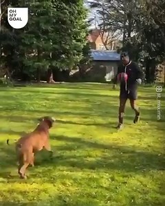36K views · 577 reactions | Neymar dribbles past his two dogs in his huge garden  | Magic Hands Creations | Facebook