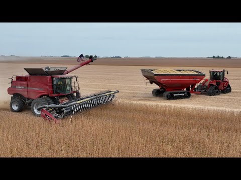 TERRIBLE Draper Head Problem Haunts Us Again...