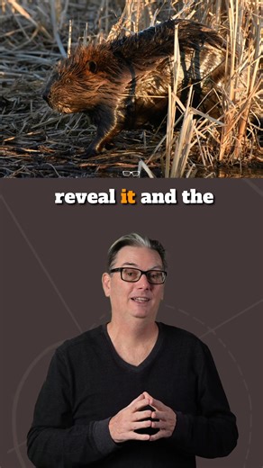  Stop "peeking" at your camera! It’s the #1 mistake a photography...