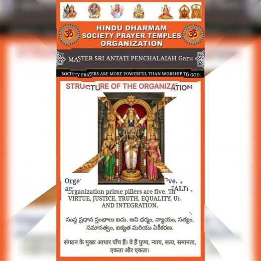 STRUCTURE OF THE ORGANIZATION