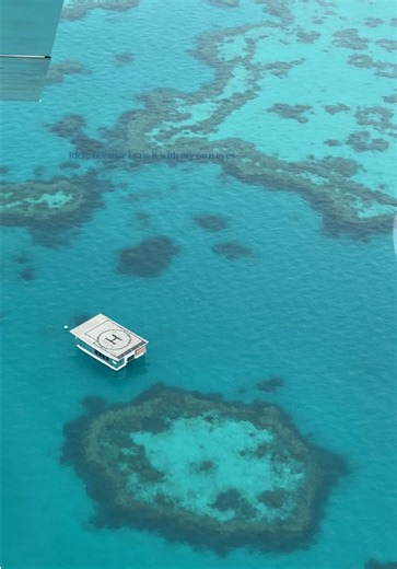 Exploring the Great Barrier Reef: A Personal Journey