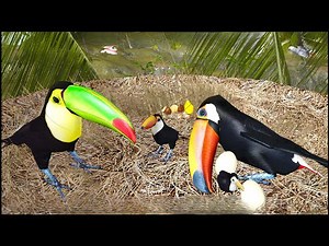 Toucan VS All Boss - Ultimate Bird Simulator (By Gluten Free Games) [4K 60FPS]