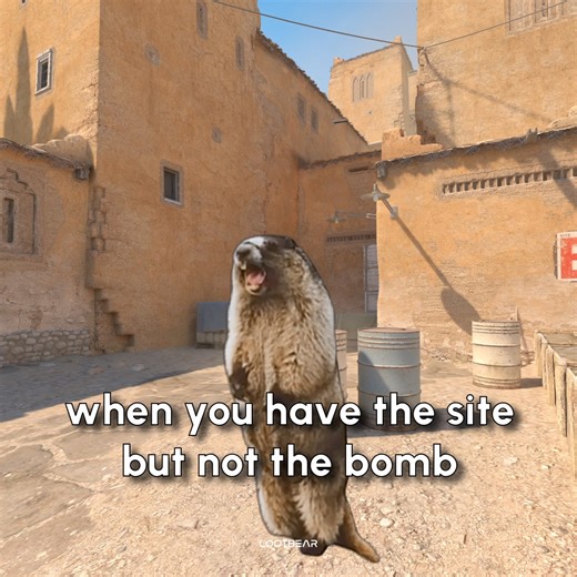 Has this ever happen to you in CS2? -- Lootbear is a monthly subscription service that allows you to pay a small monthly fee in exchange for CSGO skins! -- Follow for more! -- -- #csgo #counterstrike #csgomemes #csgomeme #csgoskins #csgovideo #csgoknife #csgoplayer #csgoskin #csgofunny #csgofun #csgofunnyclips #karambit #csgoclip #cs #counterstrikeglobaloffensive #csgovideos #steam #valve #esports #csgogiveaway #navi #gaben #globaloffensive #cs2 #counterstrike2 | LootBear