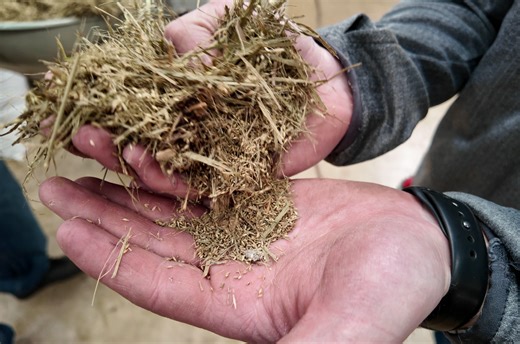 From Seed to Soil: How a fourth-generation Plainview company is driving innovation in agriculture