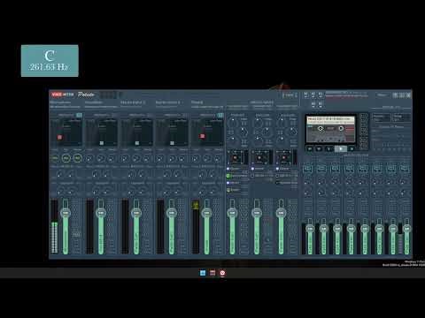 VoiceMeeter Tour of All the Settings