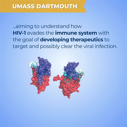 Happy National #STEM Day! 溺 We’re celebrating all things science, technology, engineering, and mathematics across the five campuses. UMass Amherst UMass Boston UMass Dartmouth UMass Lowell UMass Chan Medical School | University of Massachusetts | Facebook