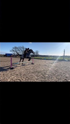 Ava is 12, Bear 4 and this is their first jumping lesson together, Bears first ever too! In love!