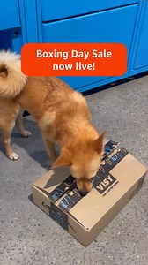 When all you care about is the box... our Boxing Day Sale is now live! | Amazon.com.au
