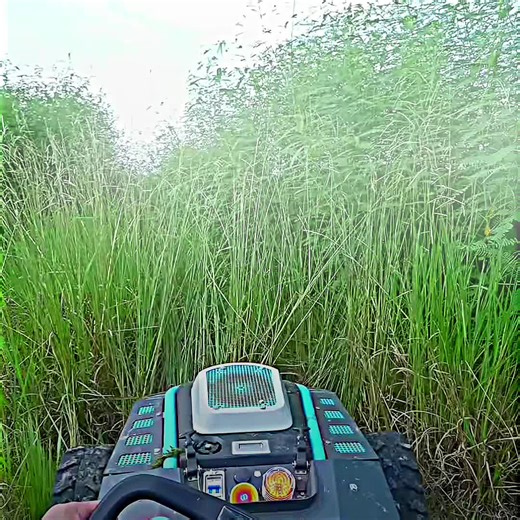 Interesting Daily Facts Everyone Should Know