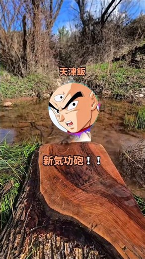 魔改造天津飯vs不死身ザマス 新気功砲を1週間撃ち続けた結果 #ドラゴンボール #dragonball #創作