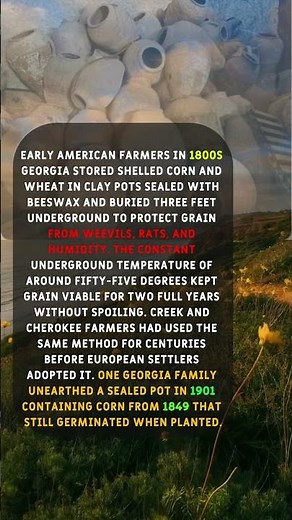The 1800s American Trick of Storing Grain in Sealed Clay Pots Underground.