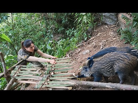 how to make traps, catch wild pigs, survival skills in nature, survival alone