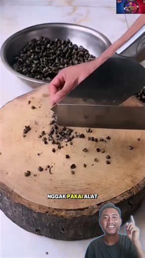 easy way to separate snail shells #shortvideo #farming #