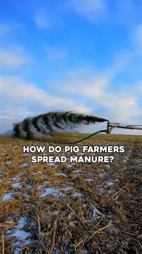 How Do Pig Farmers Spread Manure? | This'll Do Farm