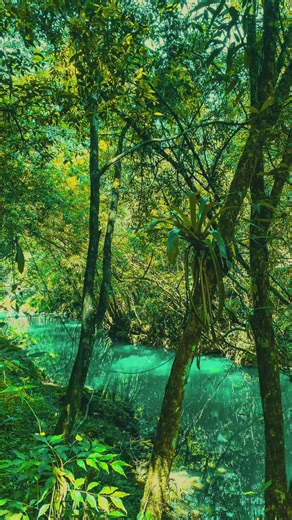 Descubre Cobán: Un Paraíso en Guatemala