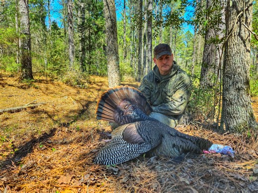 Podcast: You’re Not Calling Turkeys Aggressively Enough, and More Tips From Shane Simpson