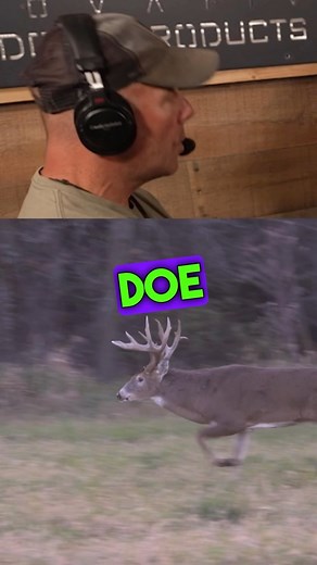 2.1K views · 205 reactions | How far will bucks travel out of their core areas? New podcast in story link breaking down early scouting strategies! | RAISED HUNTING | Facebook