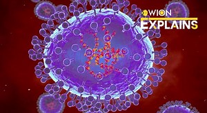 Explained | What is HMPV respiratory virus? The most important virus still unheard of