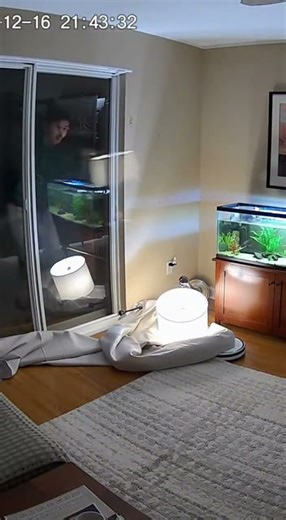 Robot Vacuum Chaos: Fish Tank Disaster!