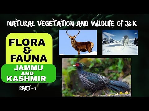 FLORA & FAUNA OF JAMMU AND KASHMIR - Natural Vegetation of J&K ,PART1