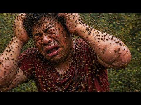 Survive or Die: One Life Bee Attack Challenge