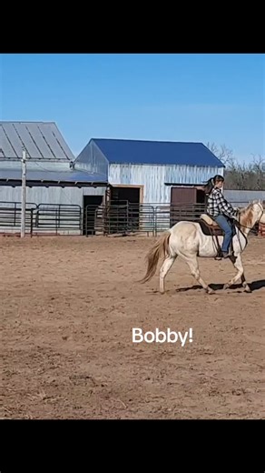 Crazy!! 🤪😝🙃😘 #cowgirlup #horsegirl #horsesoftiktok #horsetrainingtiktok #horsetrainingdoneright