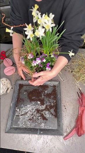Frühlingszauber Narzissen in der Vase mit einem sitzenden Hasen | Tischgestecke Frühling