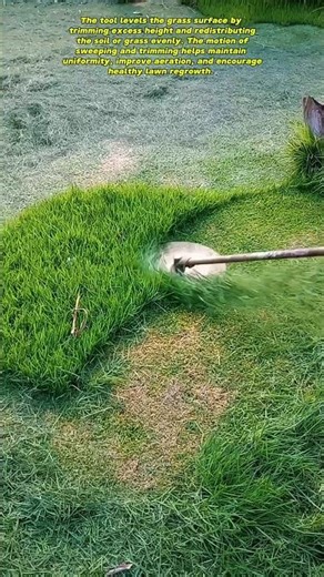 Maintenance and Grass Restoration Tutorial 🇺🇲