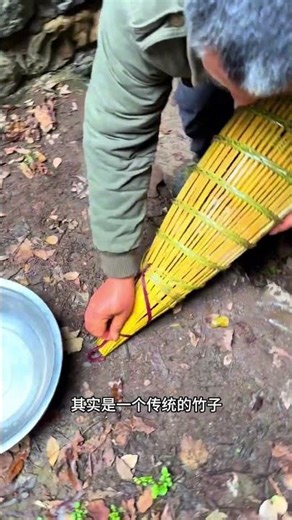 Using Traditional Bamboo Traps to Catch Fish in an Ancient Spring Well 🐟#treasurehunting #fishing