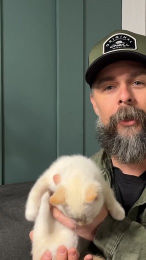 72K views · 2.4K reactions | Video outtakes of Muscles, the field cat. 浪 | Nick AndMuscles | Facebook