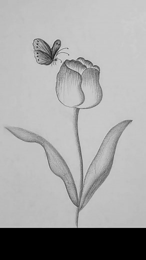 18K views · 235 reactions | How to draw a beautiful flower by pencil sketch #art #draw #drawing #pencildrawing #flowerdrawing | SSR Art's | Facebook
