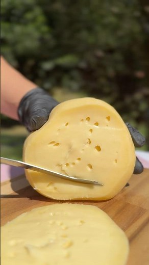 Well Said: creamy artisanal raw milk cheese from Goiás! 🧀✨ #Fusqueijão