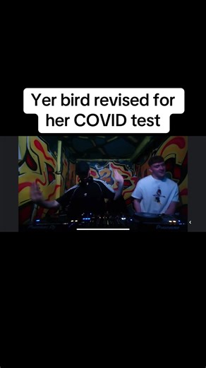 Preparing for a COVID Test: Yer Bird's Experience