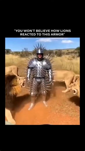 SocialDorm on Instagram: "The video features a man wearing a shiny, spike-covered metallic suit—resembling a human porcupine—standing calmly in a savanna as several lions approach him. The lions swipe and lunge but quickly recoil when they come into contact with the sharp spikes, retreating without being harmed. Throughout the clip, a playful voiceover adds humor with lines like, “Oh, that sting a little, huh?” and “Not today, kings,” while the man smiles confidently and remains unharmed. Credit