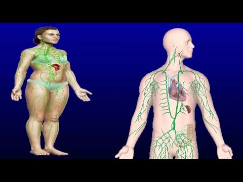 Swollen Lymph Nodes In Chest: Causes And Treatment