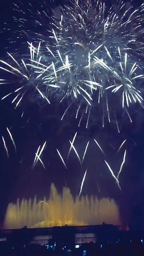 Stunning Nighttime Fireworks Display with Bright Colors